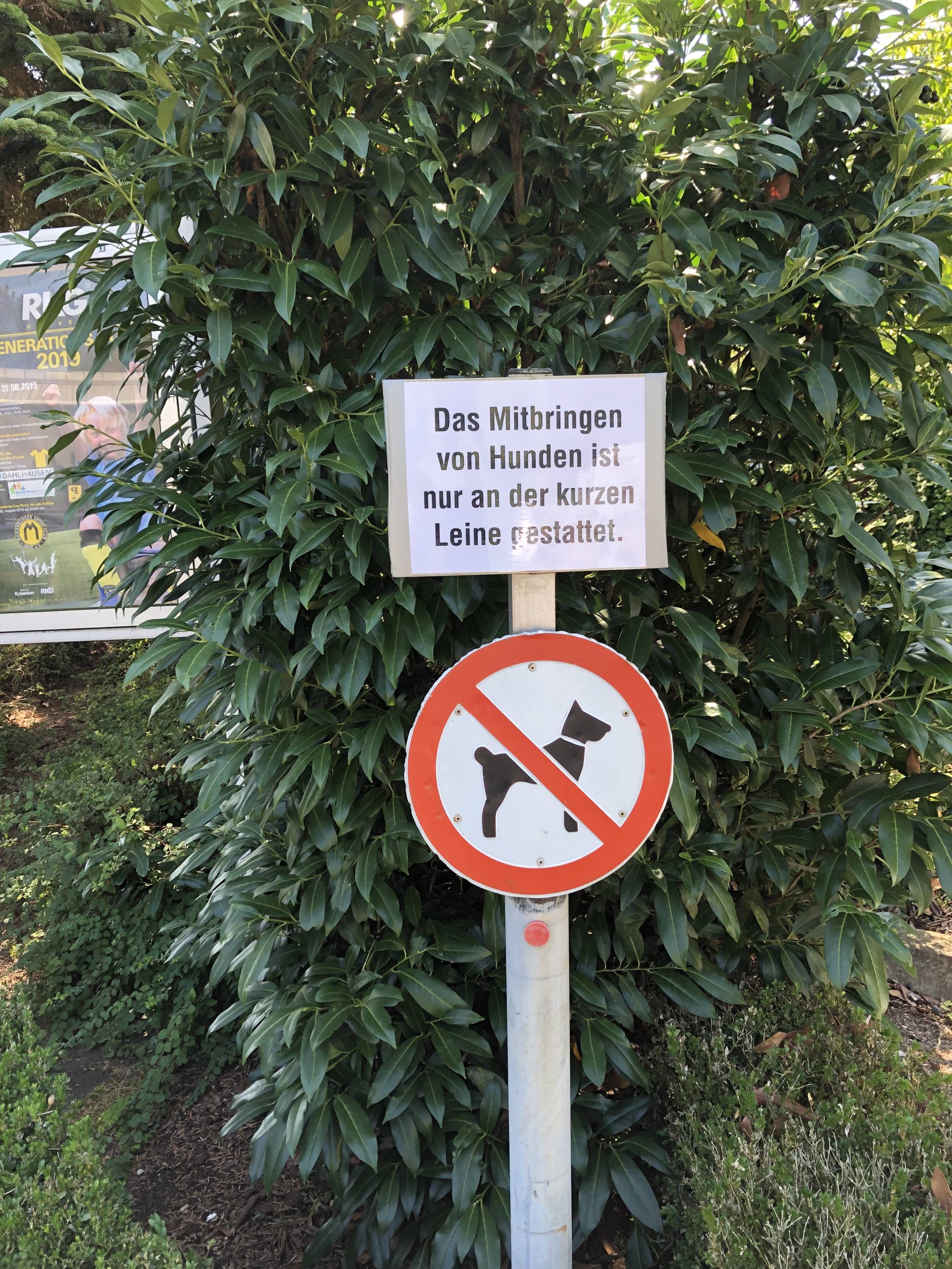 Tenniswoche Galerie
